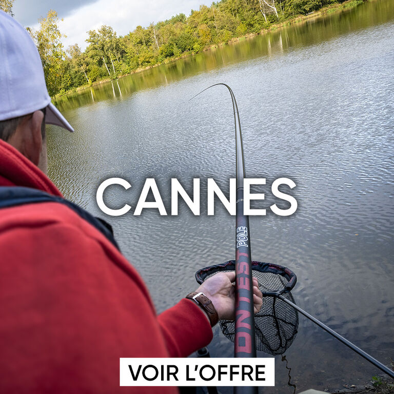 Cannes coup